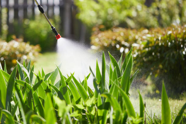 24/7 Emergency Mosquito Control experts in Longview Heights, WA