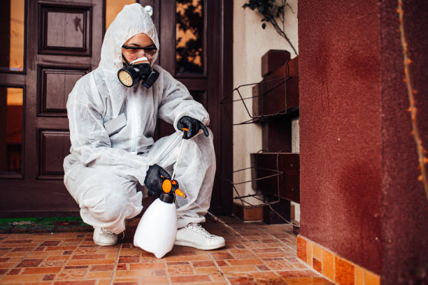 Reliable Mosquito Control contractor in Longview Heights, WA by Show Me Pest Control