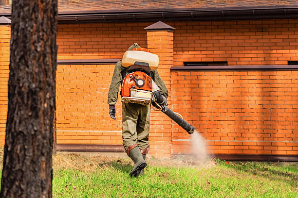 Top rated local Mosquito Control specialists in Longview Heights, WA